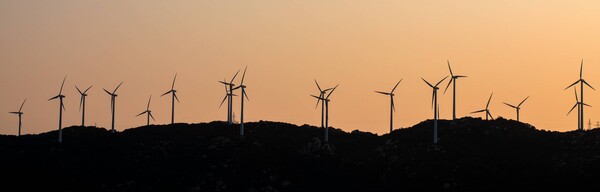 Windmills sunset